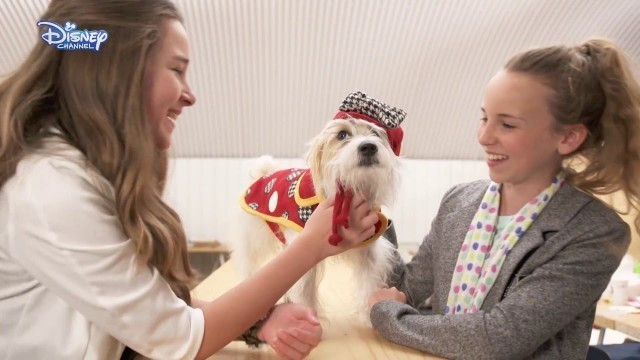 'Minnie\'s Fashion Challenge | Dog Designer | Official Disney Channel UK'