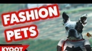 'Funniest Cute Fashion Pets & Animals Home Videos of 2016 Weekly Compilation | Kyoot Animals'