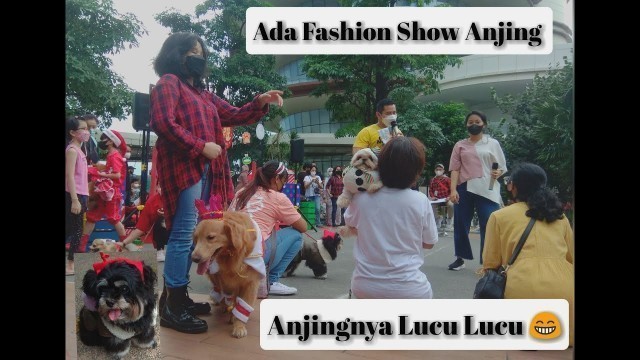 'Weekend Yang Seru | Ada Fashion Show Anjing'