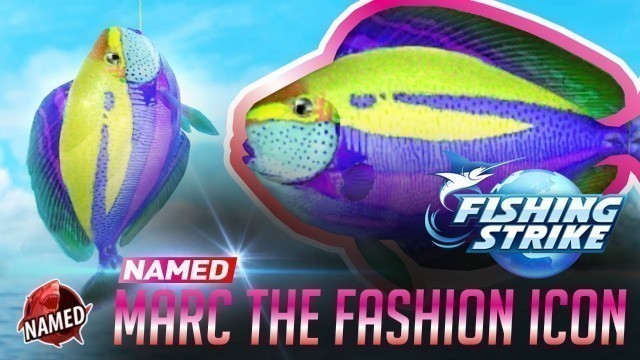 '《釣魚大亨 Fishing Strike》 Named fish Marc the fashion icon unicorn fish catch'